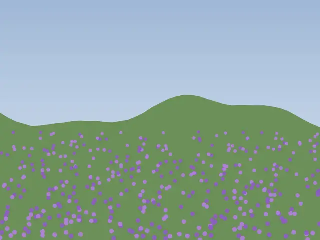 Purple wildflowers carpeting the plateau Purple wildflowers carpeting the plateau